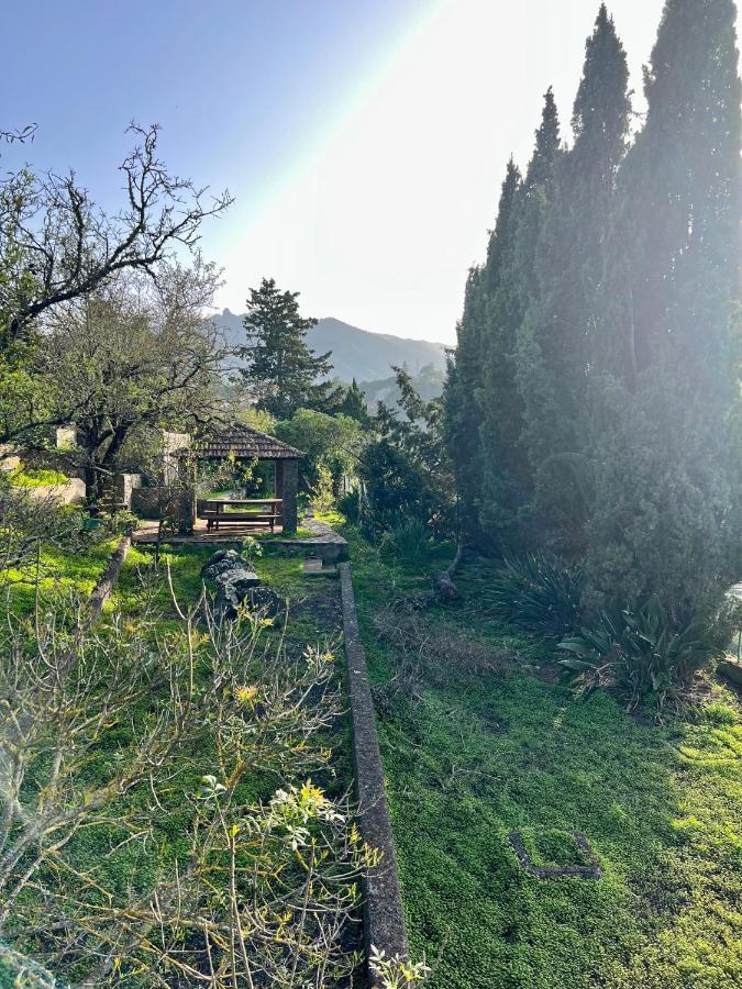 Casa La Veguetilla En San Mateo Vega de San Mateo Bagian luar foto